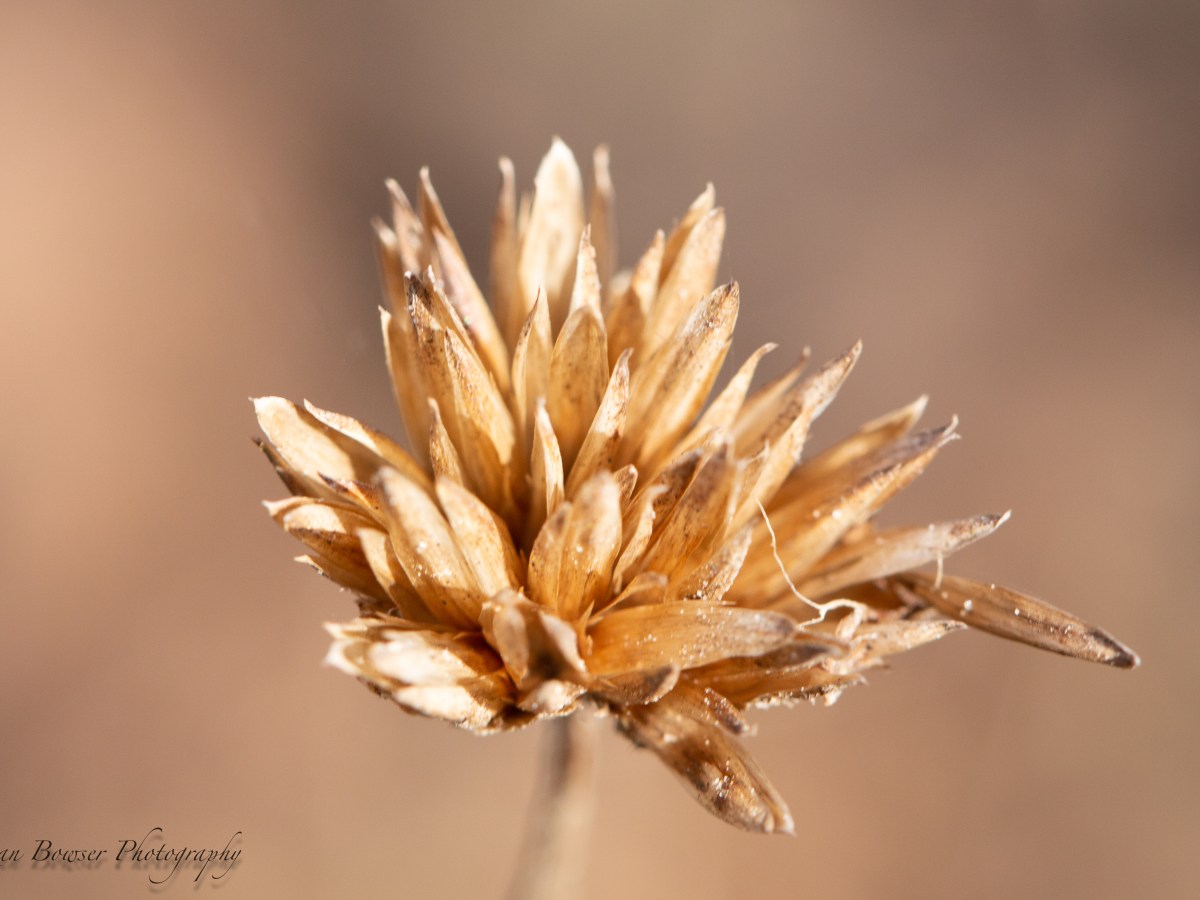 Poem – You Take Emptiness&nbsp;Away