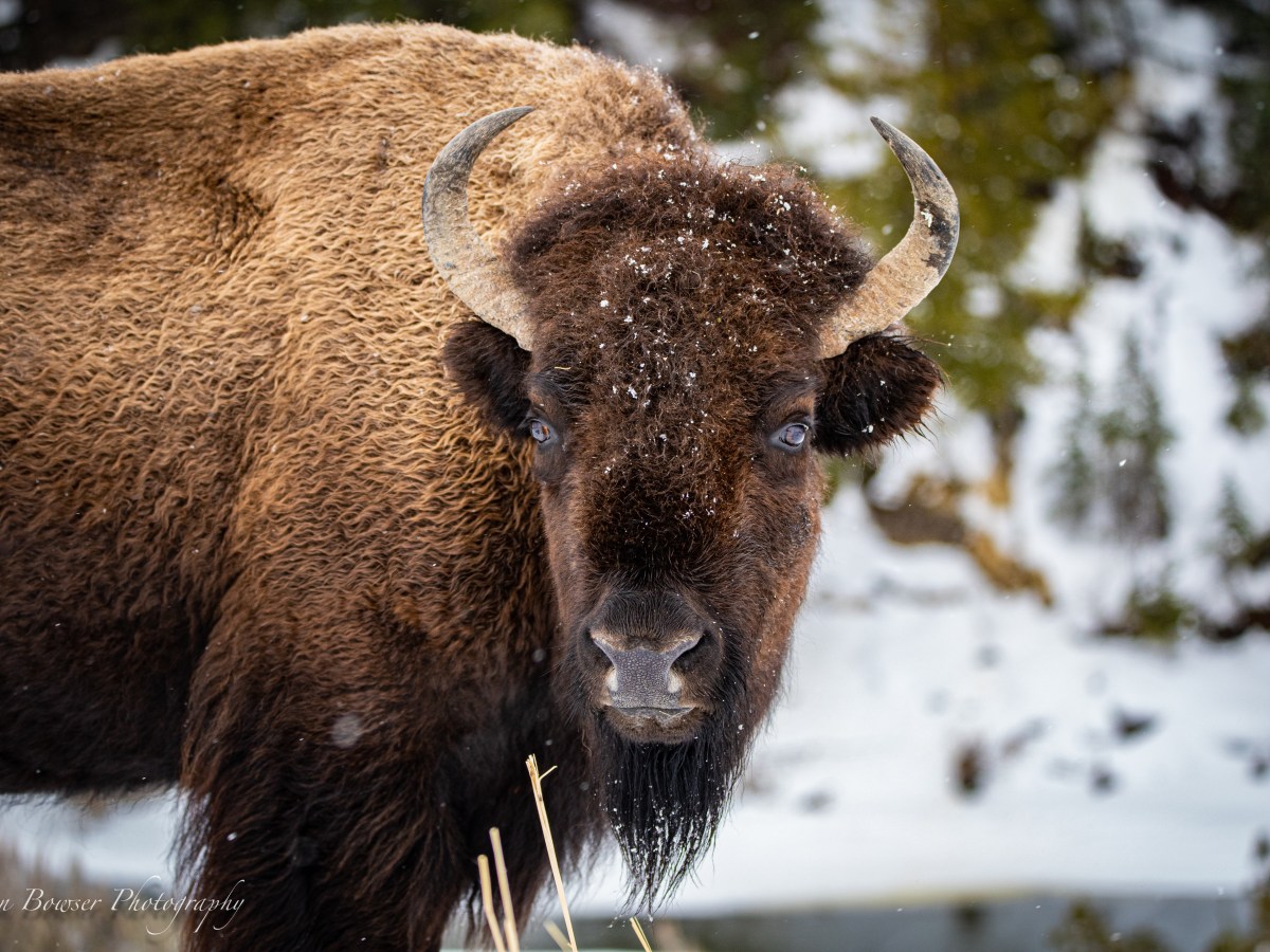 Poem – Stay and&nbsp;Wait