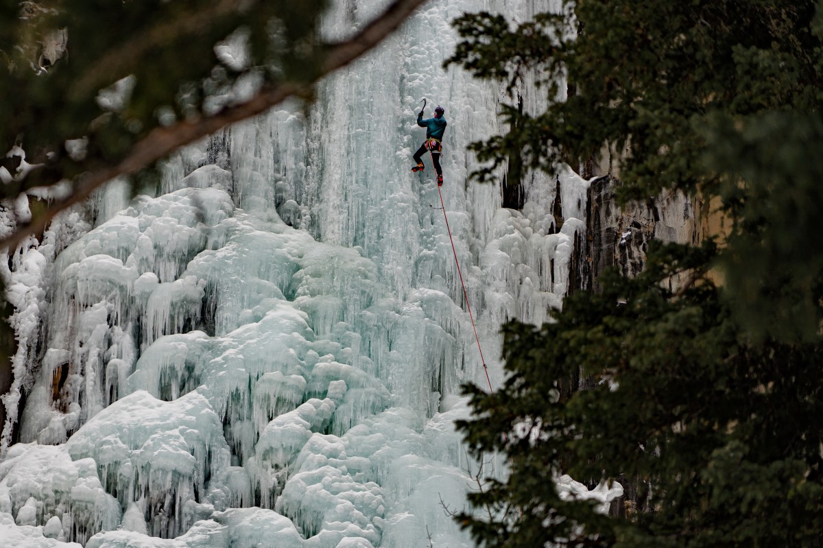The Courage to Climb Once&nbsp;Again